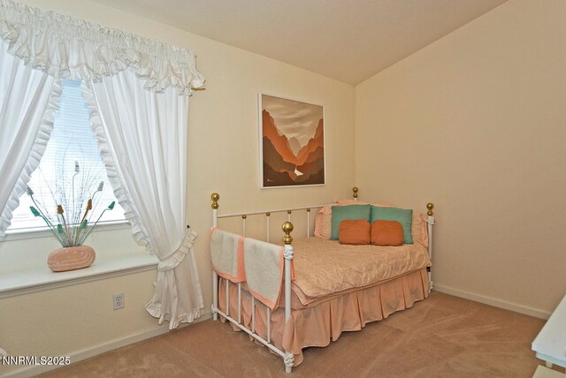 235 Montgomery St, Markleeville, CA 96120 - photo 34