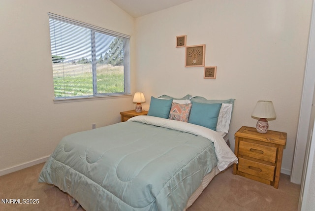 235 Montgomery St, Markleeville, CA 96120 - photo 33