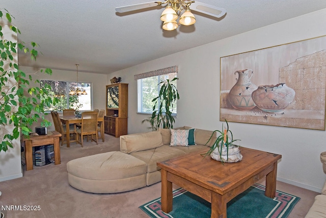 235 Montgomery St, Markleeville, CA 96120 - photo 22