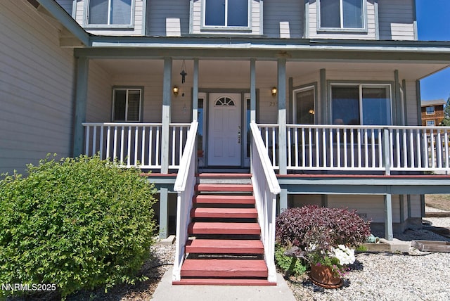 235 Montgomery St, Markleeville, CA 96120 - photo 4