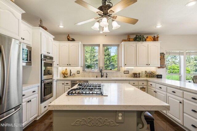 1787 E Wellington St, Carson City, NV 89703 - photo 17