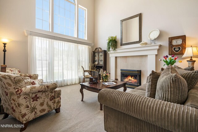 1787 E Wellington St, Carson City, NV 89703 - photo 10