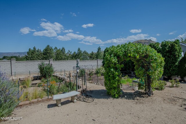 1787 E Wellington St, Carson City, NV 89703 - photo 43