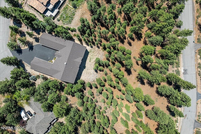 135 Yellow Pine Cir, Reno, NV 89511 - photo 38