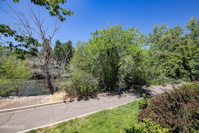 2875 Idlewild Dr Apt 5, Reno, NV 89509 - view of yard