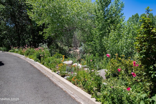 2875 Idlewild Dr Apt 5, Reno, NV 89509 - view of asphalt street with curbs