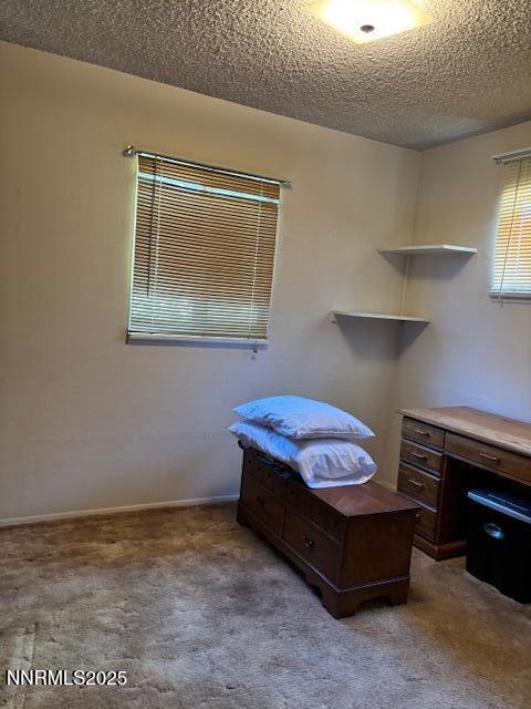 335 York Way, Sparks, NV 89431 - photo 14