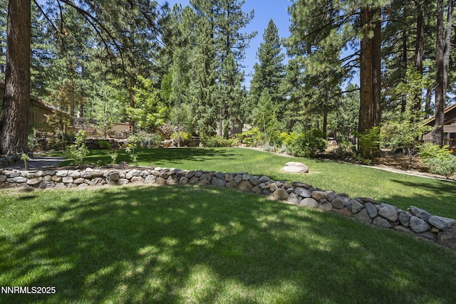 1705 Blue Spruce Rd, Reno, NV 89511 - view of grassy yard