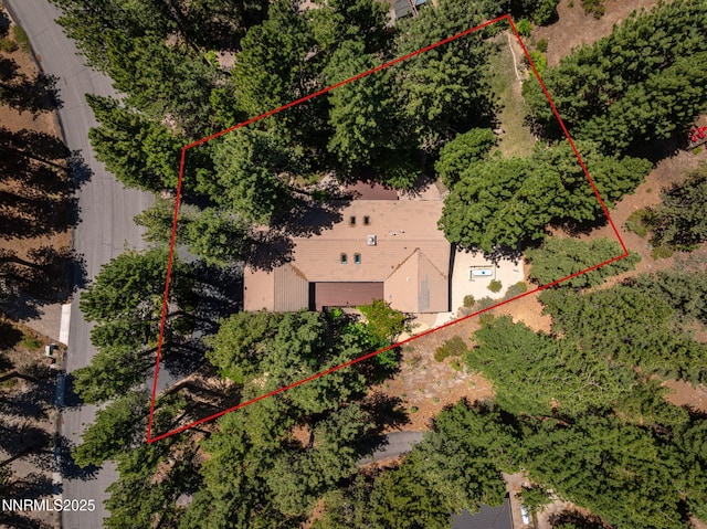 1705 Blue Spruce Rd, Reno, NV 89511 - view from above of property with property boundaries highlighted