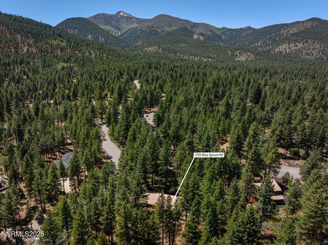 1705 Blue Spruce Rd, Reno, NV 89511 - view of property location featuring a forest and property parcel outlined