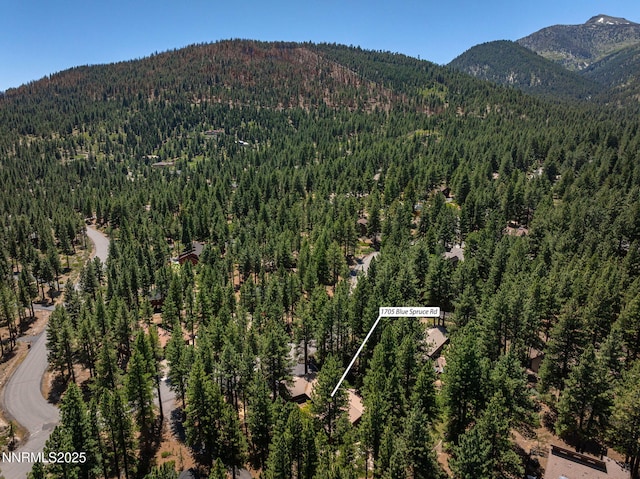 1705 Blue Spruce Rd, Reno, NV 89511 - aerial overview of property's location featuring mountains and property boundaries highlighted