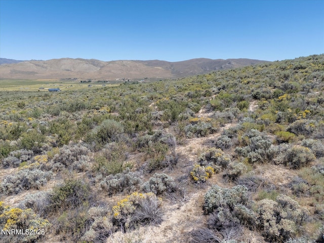 15955 N Red Rock Rd, Reno, NV 89508 - photo 16