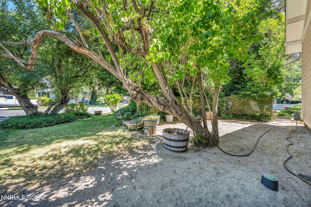 1012 N Nevada St, Carson City, NV 89703 - photo 12