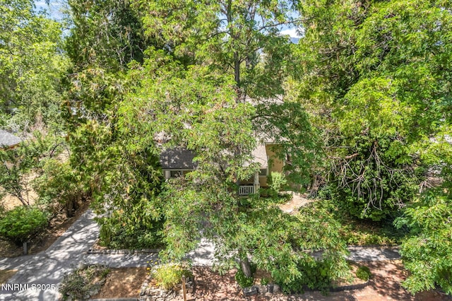1012 N Nevada St, Carson City, NV 89703 - photo 71