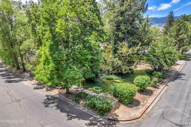 1012 N Nevada St, Carson City, NV 89703 - photo 57