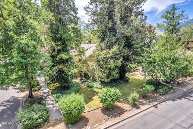 1012 N Nevada St, Carson City, NV 89703 - photo 69