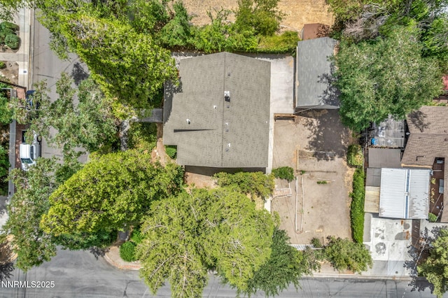 1012 N Nevada St, Carson City, NV 89703 - photo 14