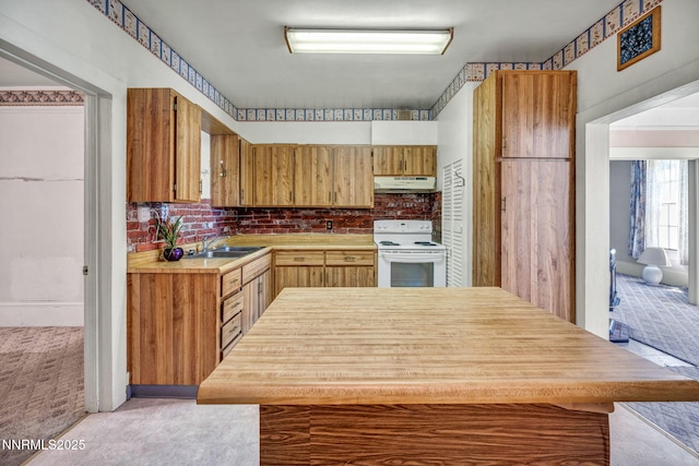 1012 N Nevada St, Carson City, NV 89703 - photo 29