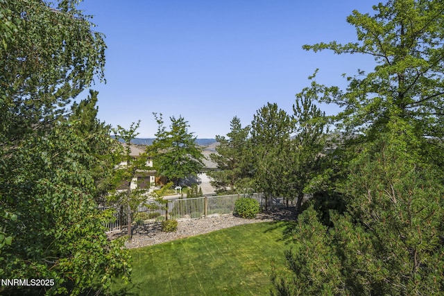 4811 Elkcreek Trl, Reno, NV 89519 - view of yard