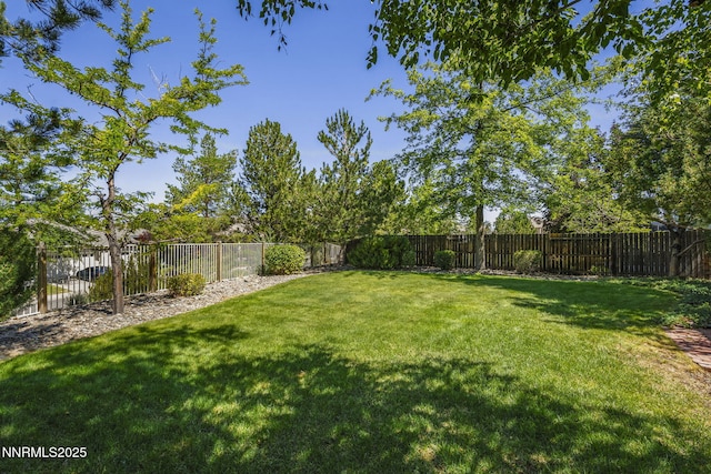 4811 Elkcreek Trl, Reno, NV 89519 - view of fenced backyard