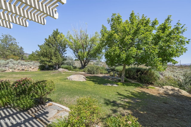 2305 Stowe Dr, Reno, NV 89511 - photo 32