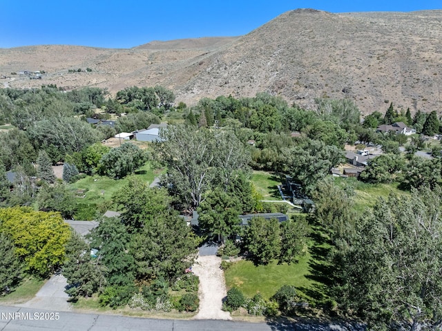 22900 Carriage Dr, Reno, NV 89521 - photo 8