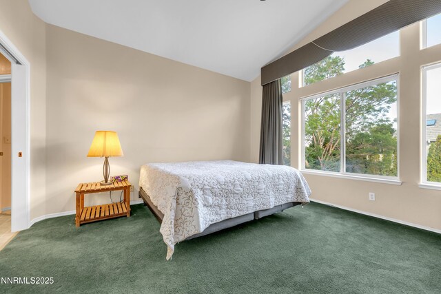 6248 Golden Meadow Rd, Reno, NV 89519 - photo 21
