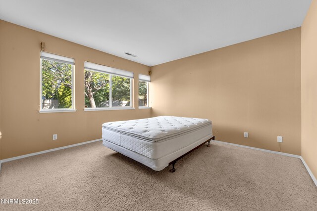 6248 Golden Meadow Rd, Reno, NV 89519 - photo 37