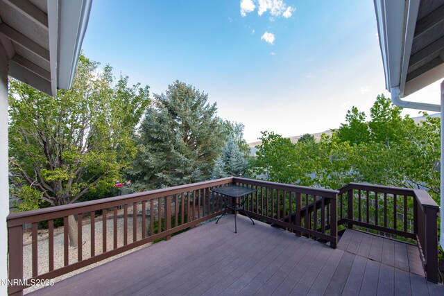 6248 Golden Meadow Rd, Reno, NV 89519 - photo 57
