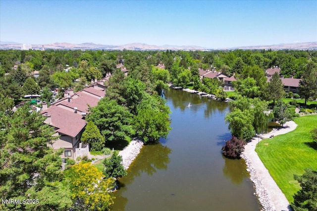 4604 Rio Poco Rd, Reno, NV 89502 - photo 35