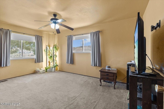 15500 Elkhorn Ln, Reno, NV 89506 - photo 12