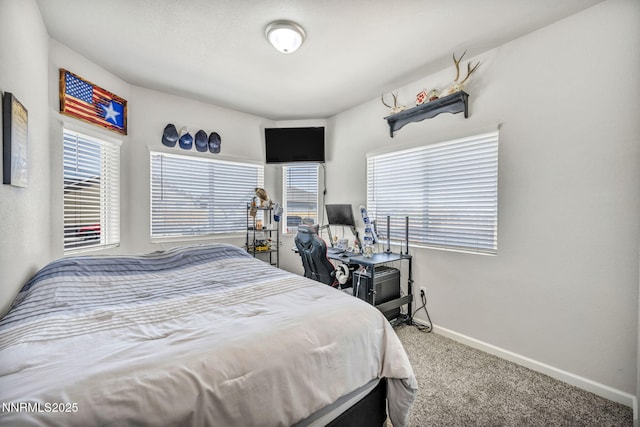 776 Great Basin Ln, Fallon, NV 89406 - carpeted bedroom featuring baseboards