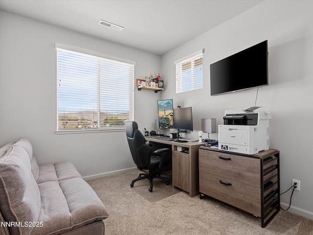 163 Relief Springs Rd, Fernley, NV 89408 - photo 41