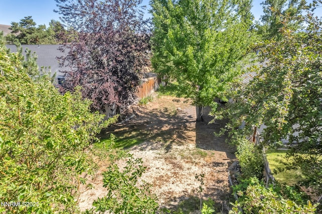1419 Leonard Rd, Gardnerville, NV 89460 - view of yard