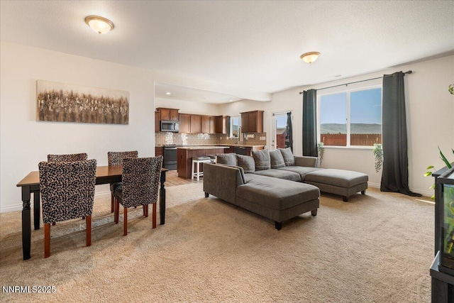 1020 E Slab Cliffs Ct, Reno, NV 89508 - photo 7