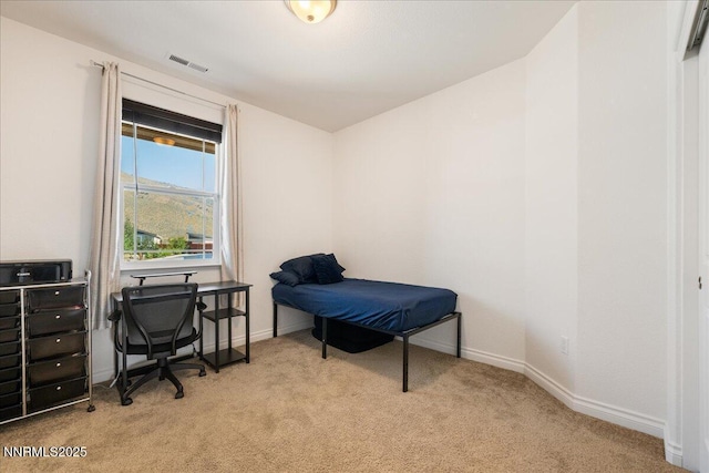 1020 E Slab Cliffs Ct, Reno, NV 89508 - photo 21
