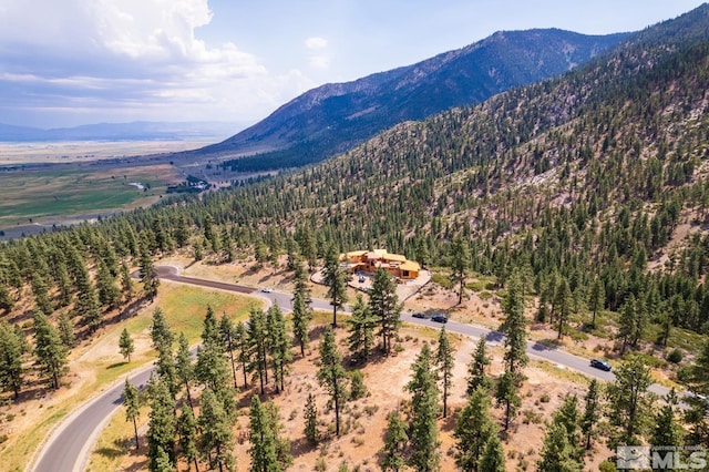 3514 Knob Pt, Carson City, NV 89705 - photo 13