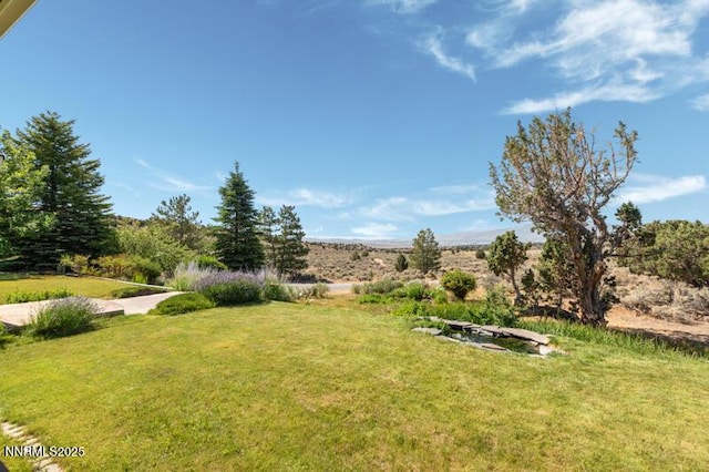 125 Columbia Hill Ct, Reno, NV 89508 - photo 22