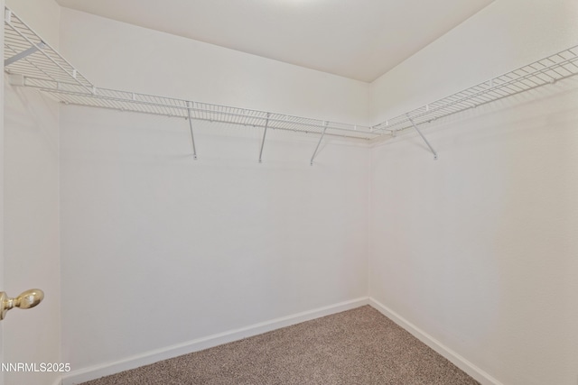 518 Garden Cir, Fernley, NV 89408 - photo 31