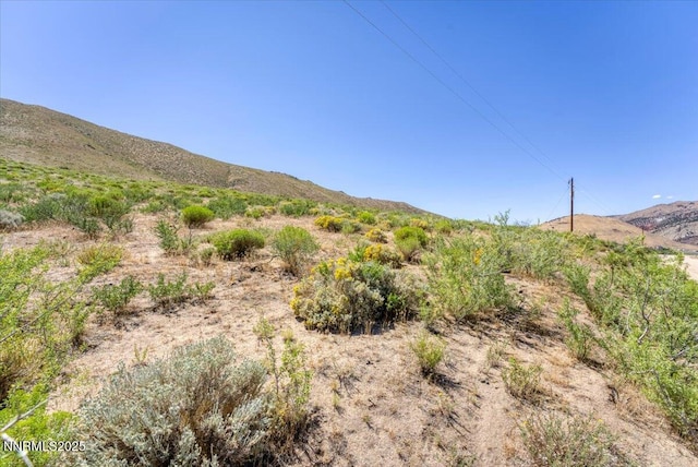 605 Appaloosa Cir, Reno, NV 89508 - photo 31