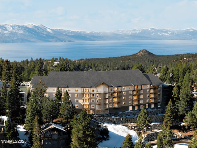 323 Tramway Dr # 301, Stateline, NV 89449 - view of mountain backdrop featuring a heavily wooded area and a nearby body of water