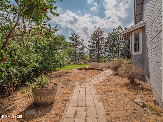 2843 Wade St, Minden, NV 89423 - view of yard