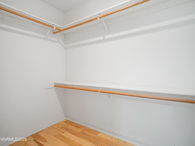 2843 Wade St, Minden, NV 89423 - spacious closet featuring light wood-style floors