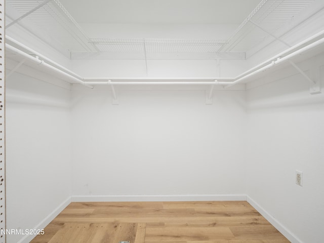 2843 Wade St, Minden, NV 89423 - spacious closet with light wood-type flooring