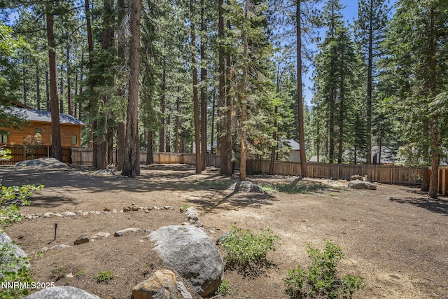 885 S Dyer Cir, Incline Village, NV 89451 - photo 27