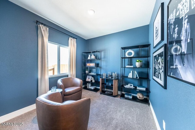 1312 Coco Dr Lot # 90, Carson City, NV 89705 - photo 5