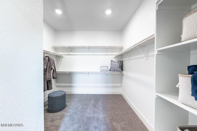 1312 Coco Dr Lot # 90, Carson City, NV 89705 - photo 27