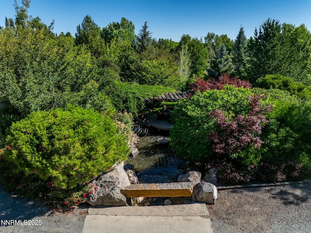 2680 Olive Pl, Reno, NV 89511 - photo 12