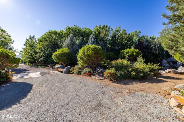 2680 Olive Pl, Reno, NV 89511 - photo 19