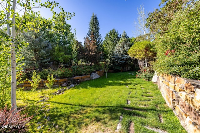 2680 Olive Pl, Reno, NV 89511 - photo 16